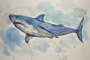 Lire la suite à propos de l’article Des dessinateurs qui se mobilisent pour les requins