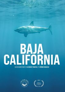 Lire la suite à propos de l’article The blue quest / Baja california