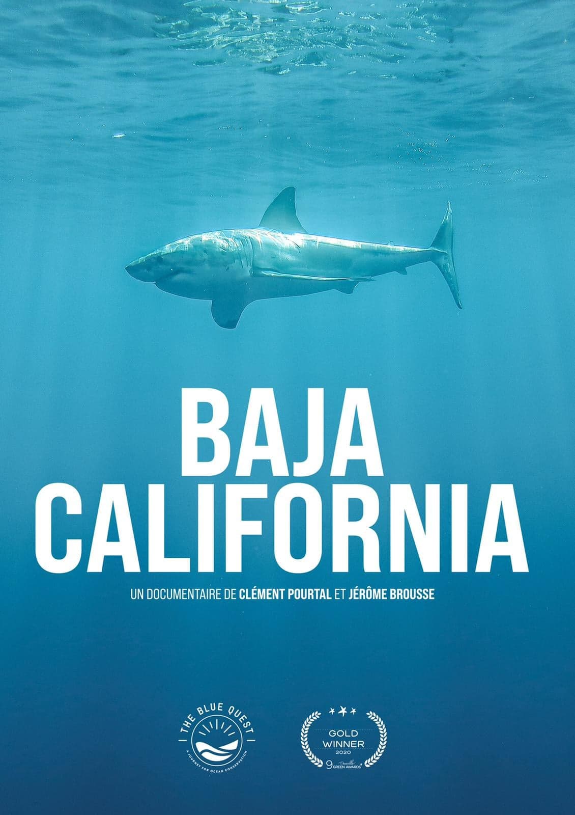 Lire la suite à propos de l’article The blue quest / Baja california