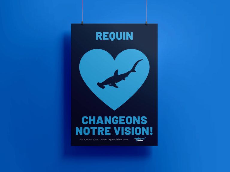 requin changeons notre vision lepeaubleu affiche gratuite à télécharger